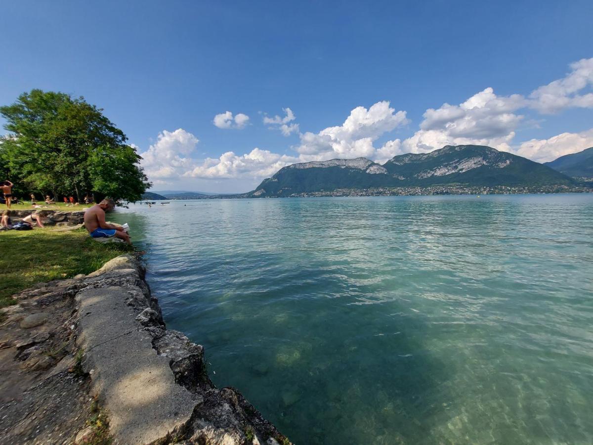 A 200 Metres Du Lac D'Annecy, Spacieux Appartement 3 Chambres Avec Terrasse Et Jardin 塞夫里耶 外观 照片