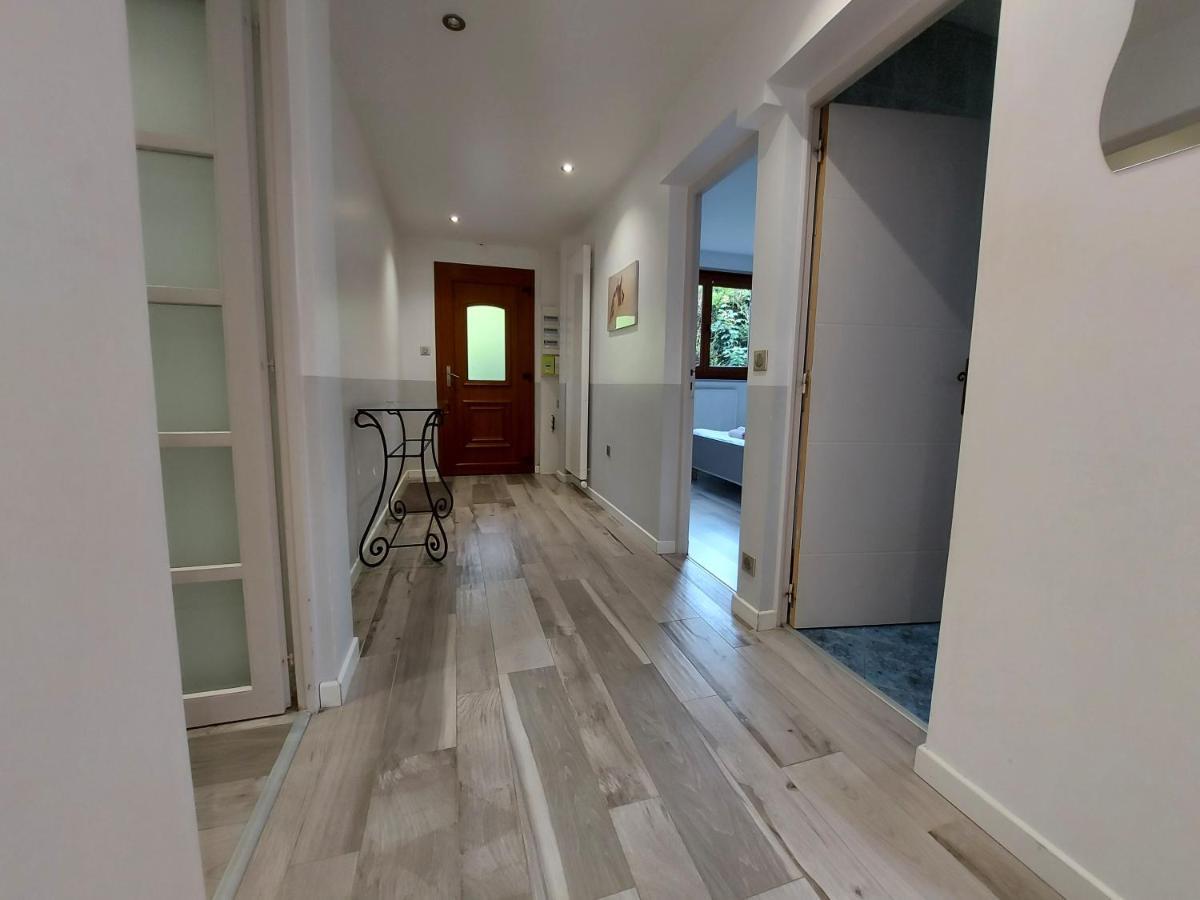 A 200 Metres Du Lac D'Annecy, Spacieux Appartement 3 Chambres Avec Terrasse Et Jardin 塞夫里耶 外观 照片
