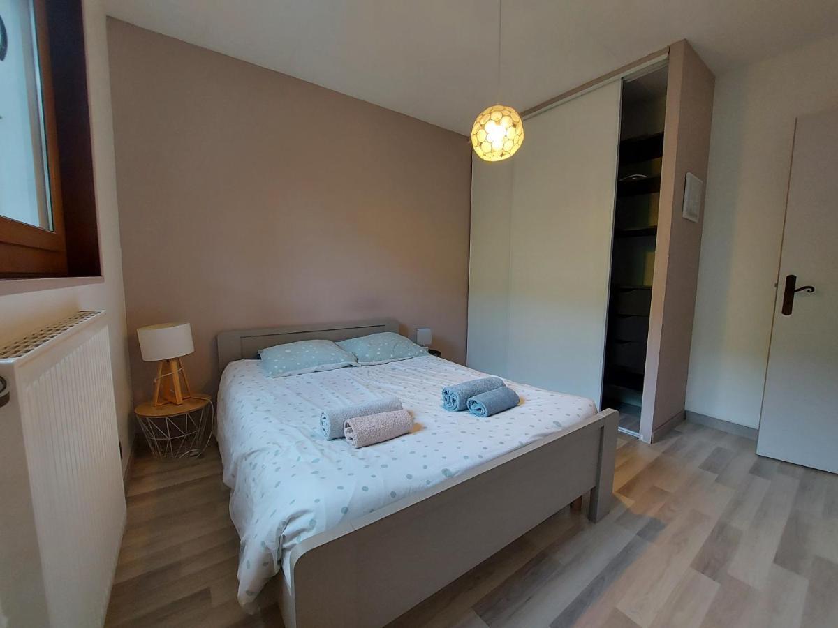 A 200 Metres Du Lac D'Annecy, Spacieux Appartement 3 Chambres Avec Terrasse Et Jardin 塞夫里耶 外观 照片